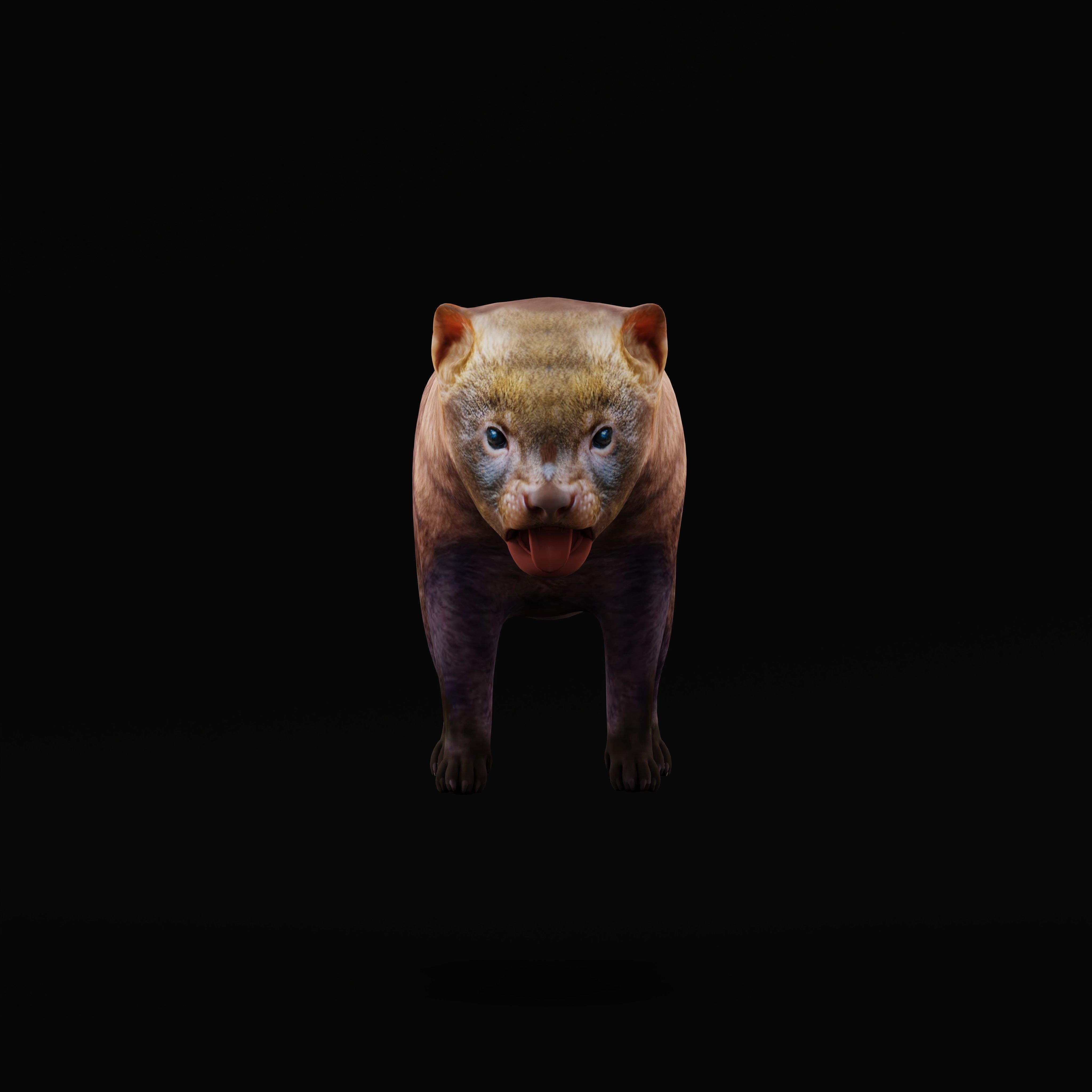 Bush Dog Low-poly 3D model_36