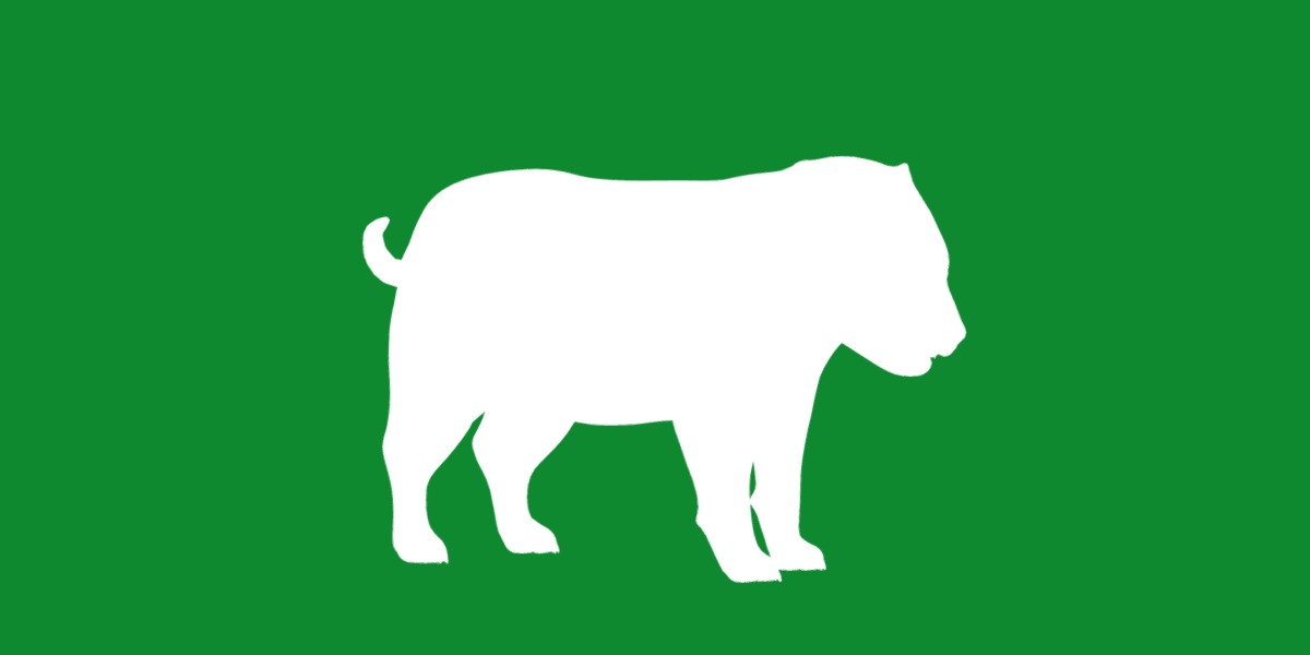 Bush Dog Low-poly 3D model_29