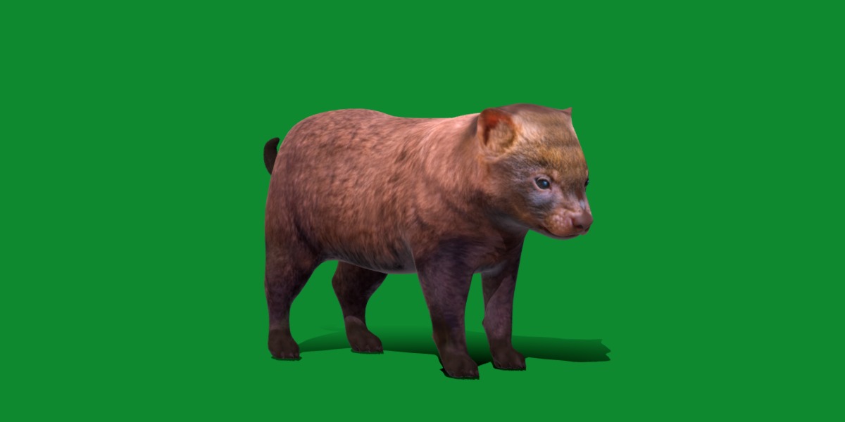 Bush Dog Low-poly 3D model_31
