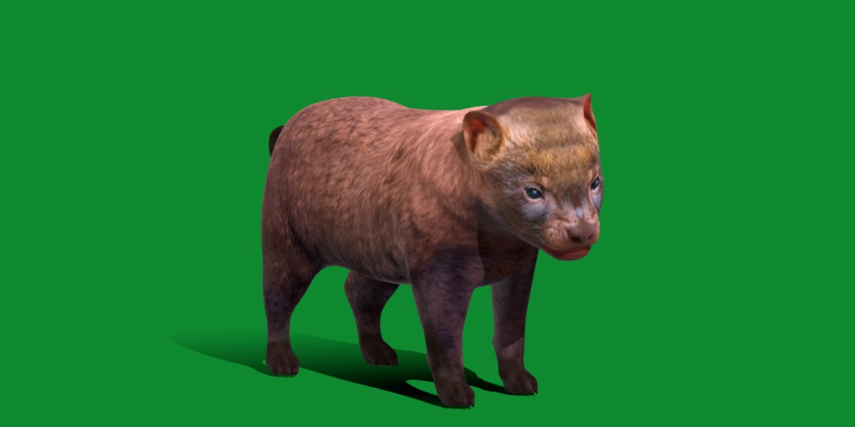 Bush Dog Low-poly 3D model_22