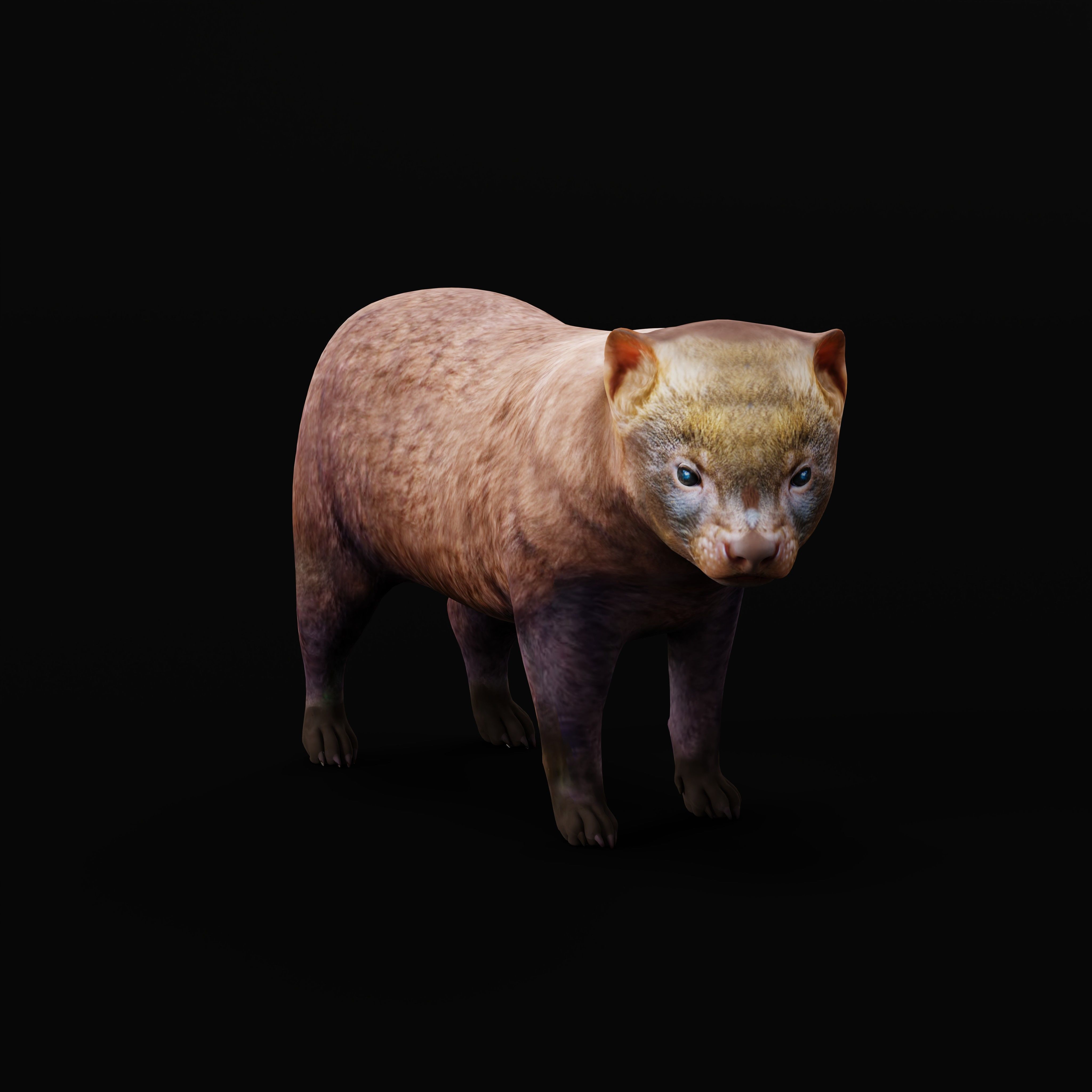 Bush Dog Low-poly 3D model_35