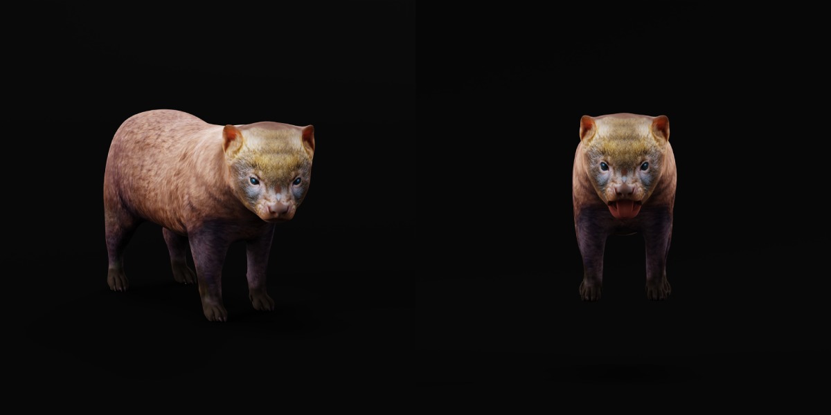 Bush Dog Low-poly 3D model_4