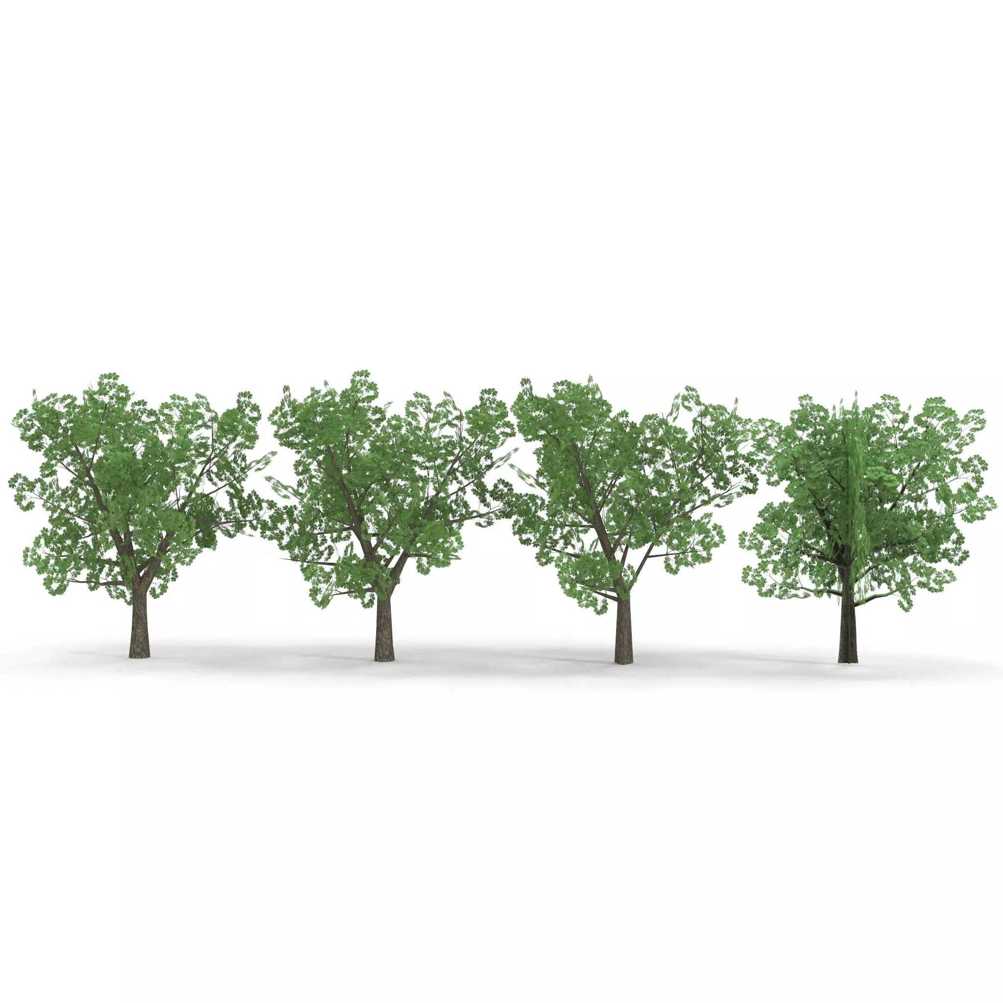 Horsechestnut Low Poly V2 Low-poly 3D model_0