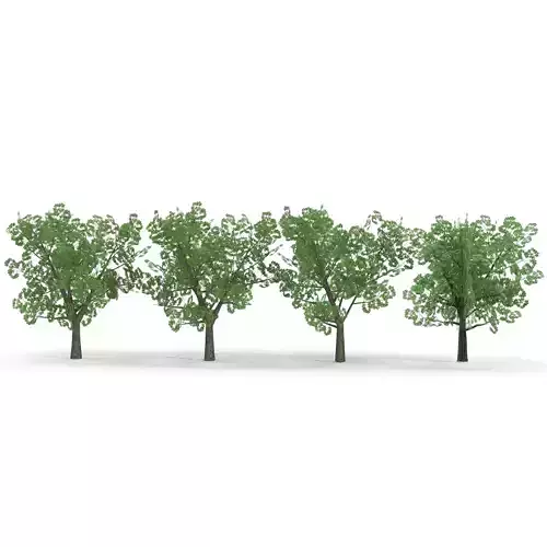 Horsechestnut Low Poly V2 Low-poly 3D model