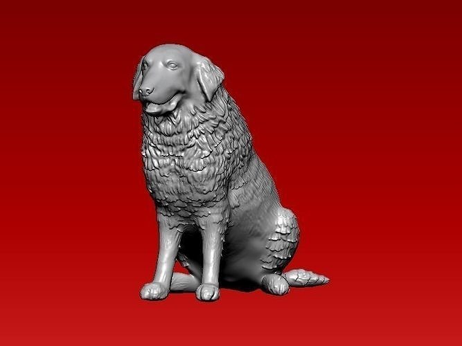 Australian Shepherd Dog 3D Print Model 3D print model
