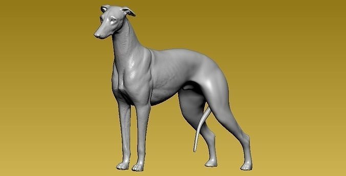 Grey Hound Statue -3D print 3D print model