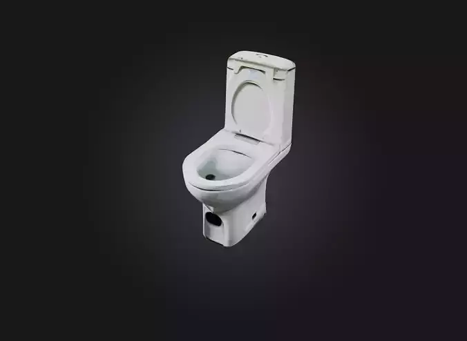 squat toilet Low-poly 3D model