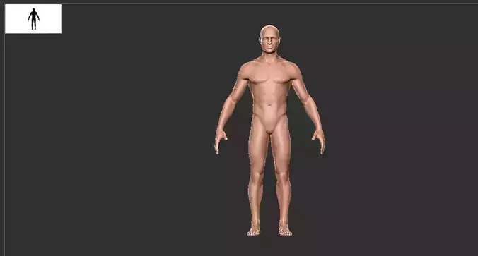 Male Base Mesh