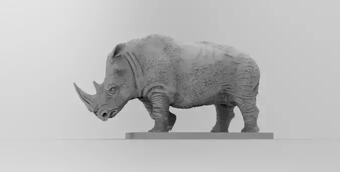 Rhino 
