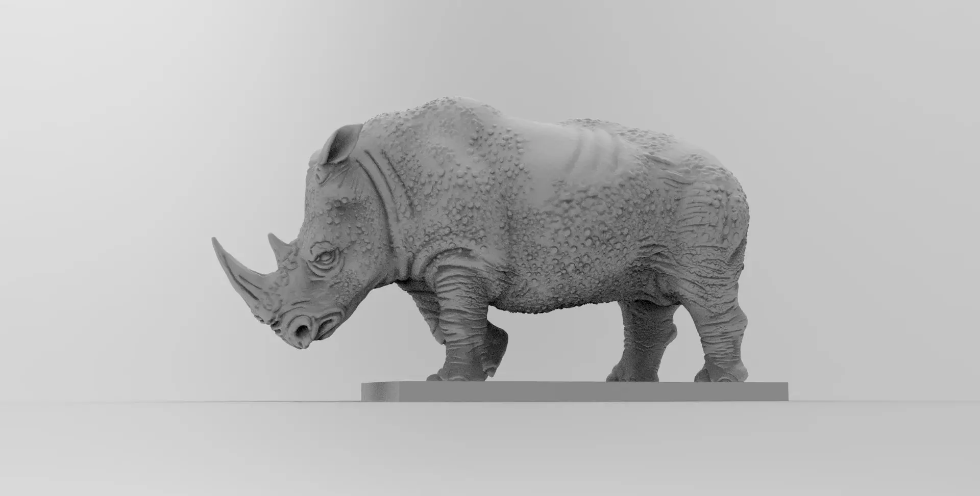 Rhino  3D model_0