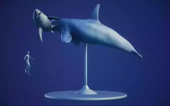 Killer Whale vs Great White Shark 3d print composition files