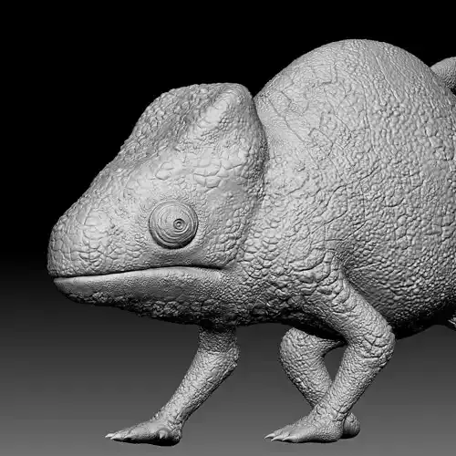 Chameleon 020 3D print model