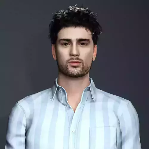 Zayn Malik Character 