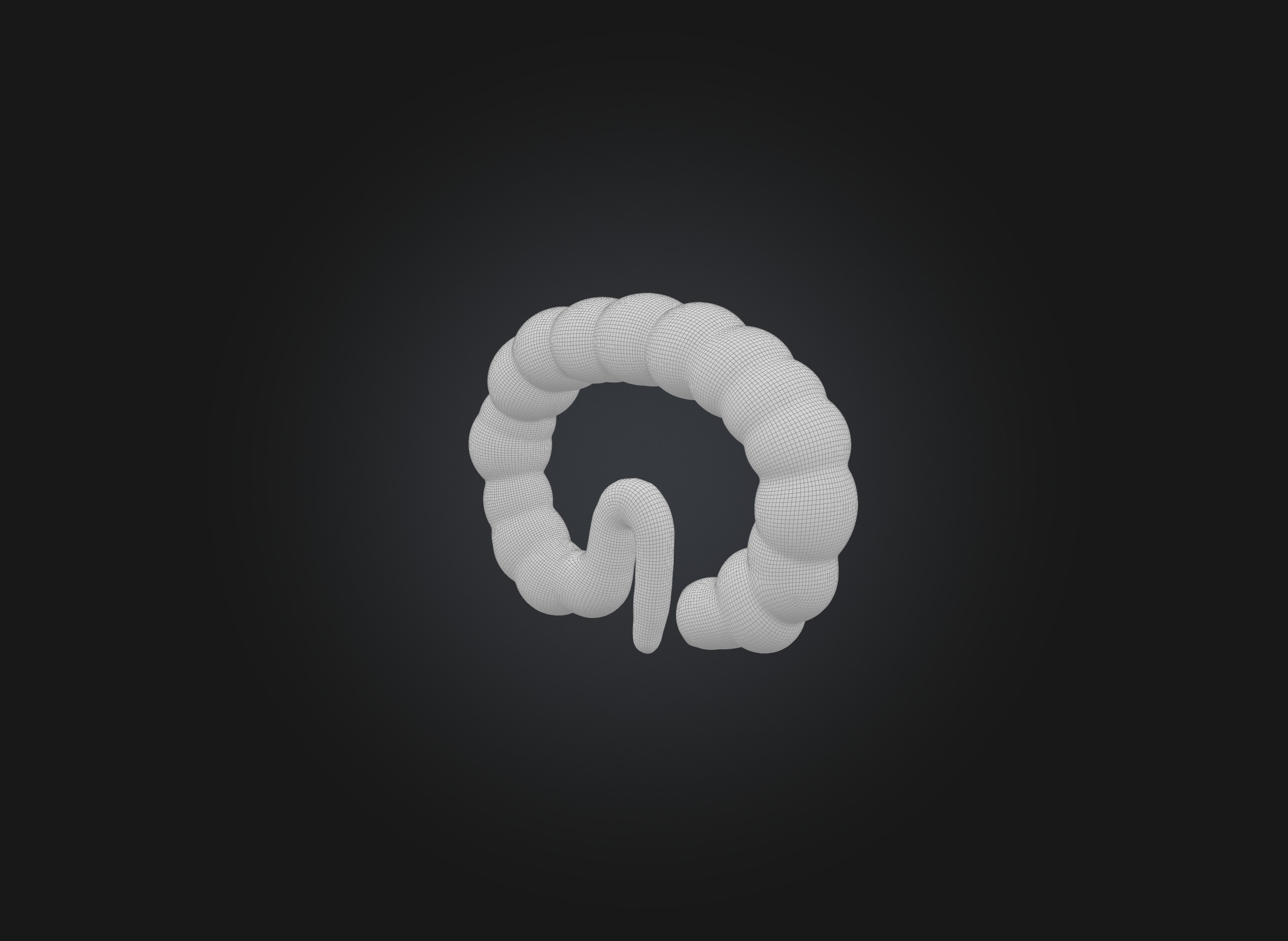 small intestine Low-poly 3D model_1