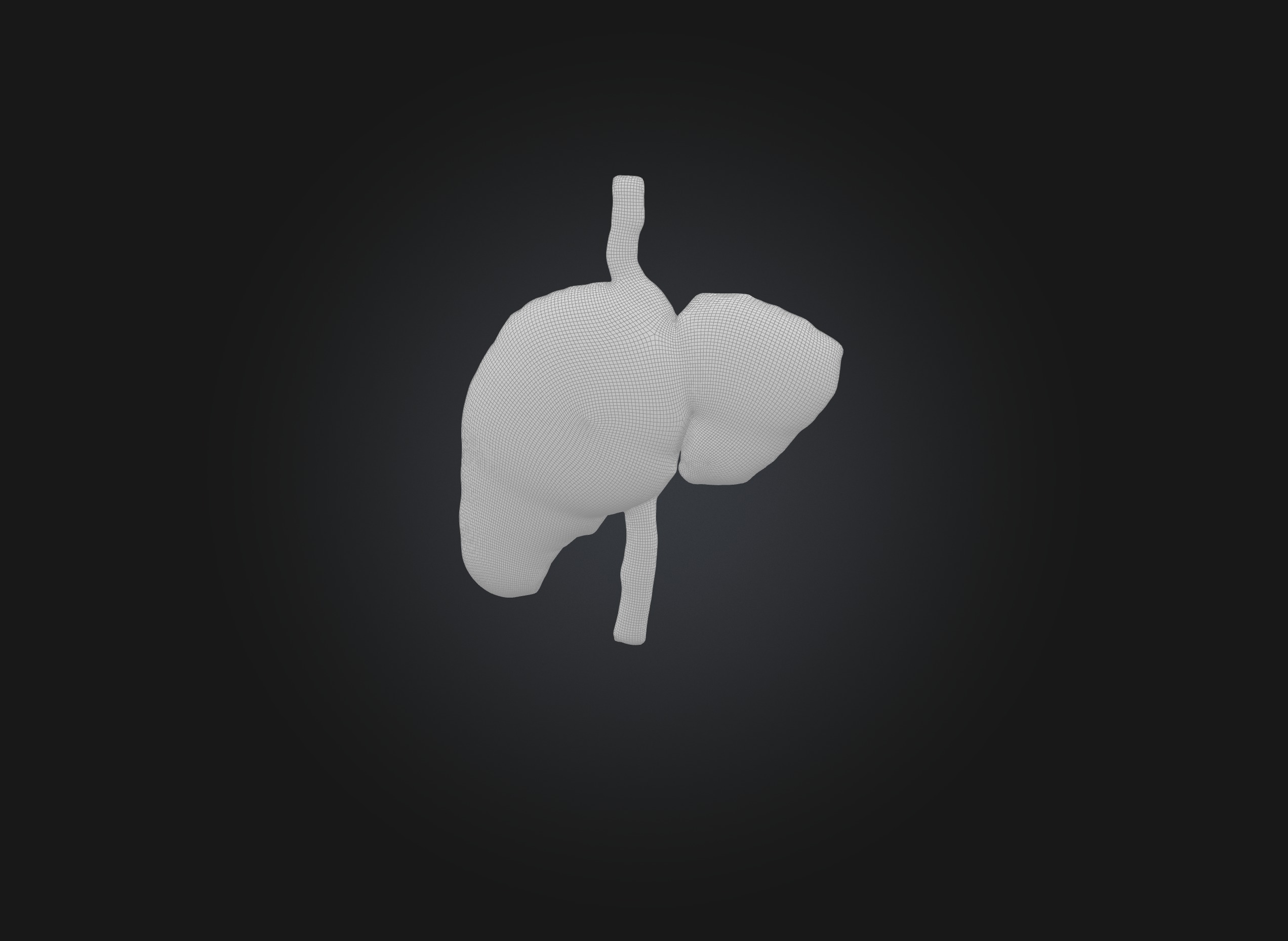 liver organ Low-poly 3D model_1