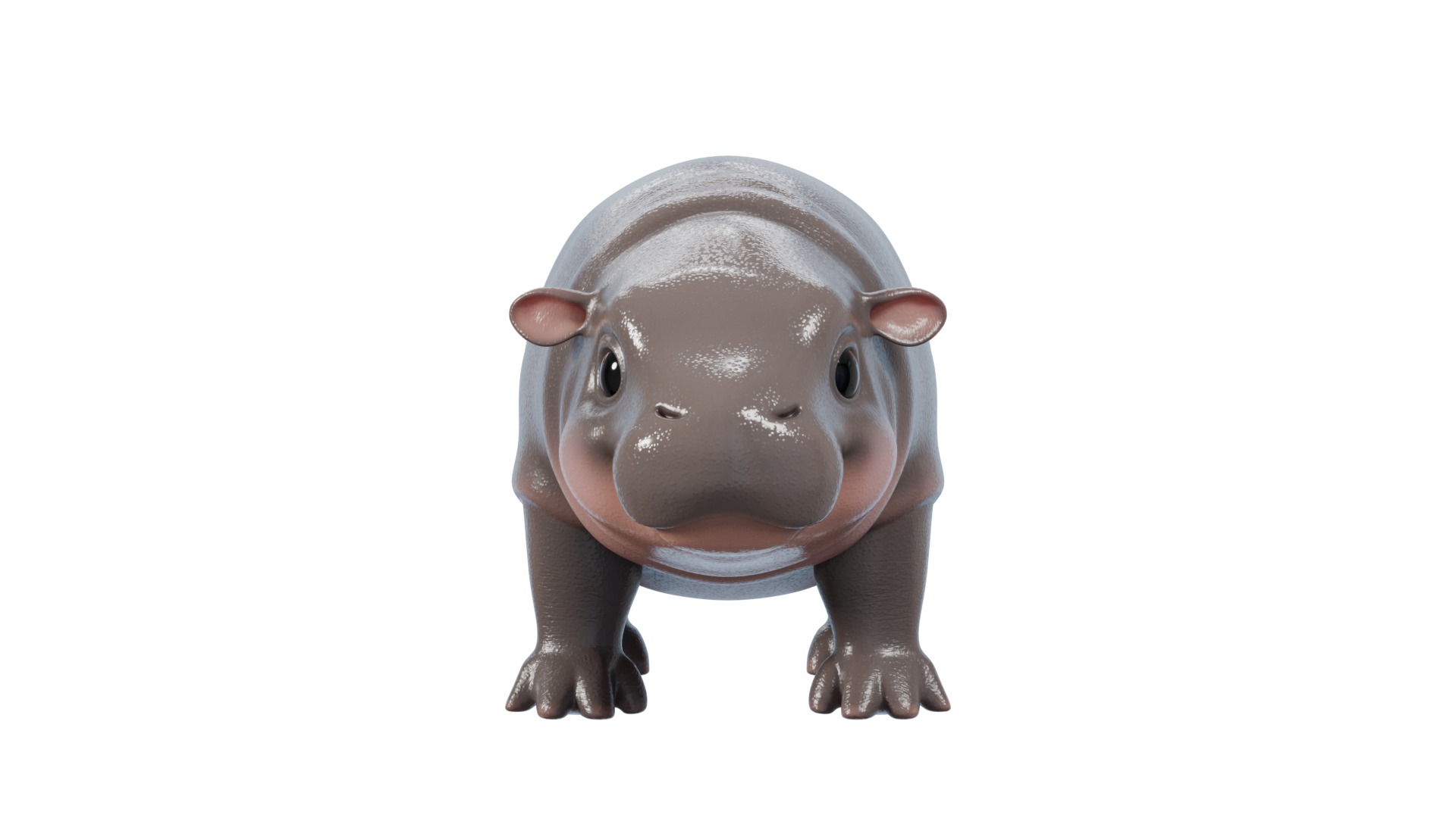 Baby Pygmy Hippopotamus Model Low-poly 3D model_2