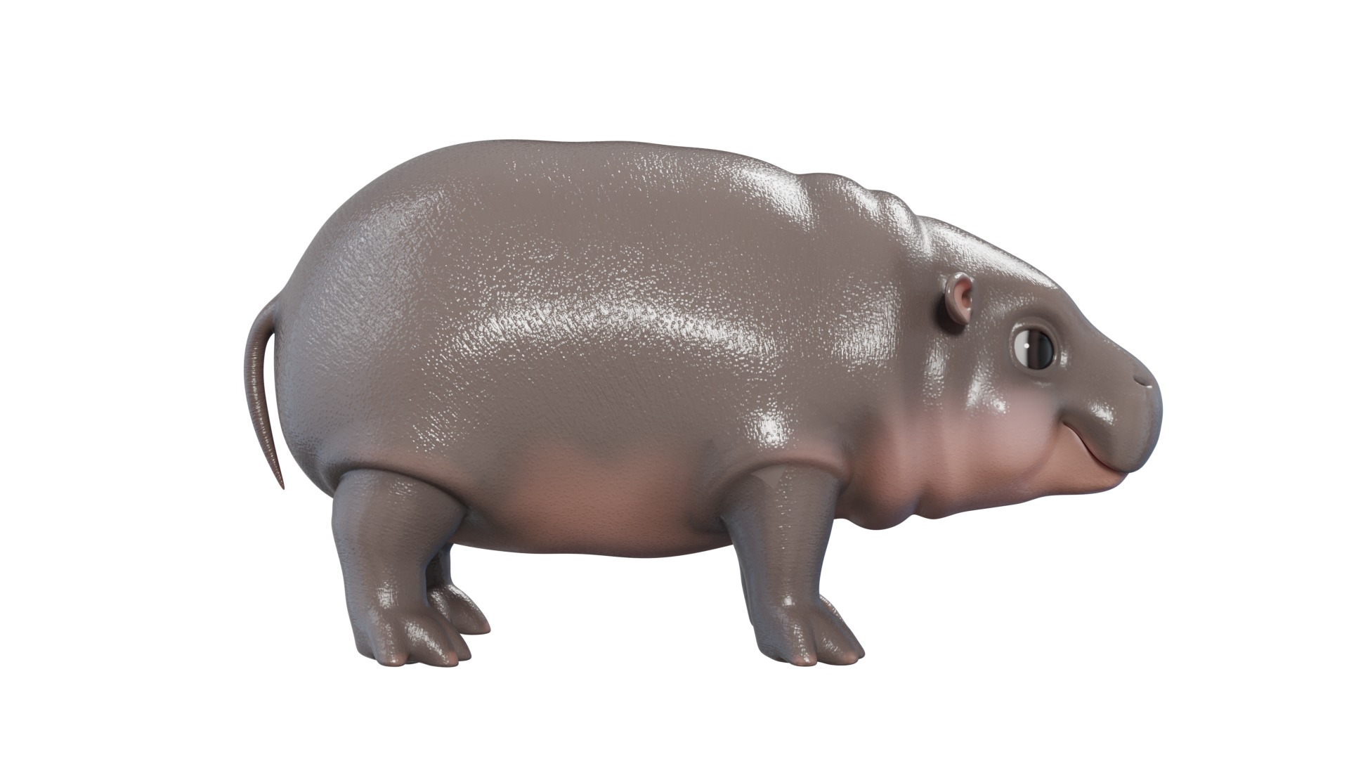Baby Pygmy Hippopotamus Model Low-poly 3D model_5