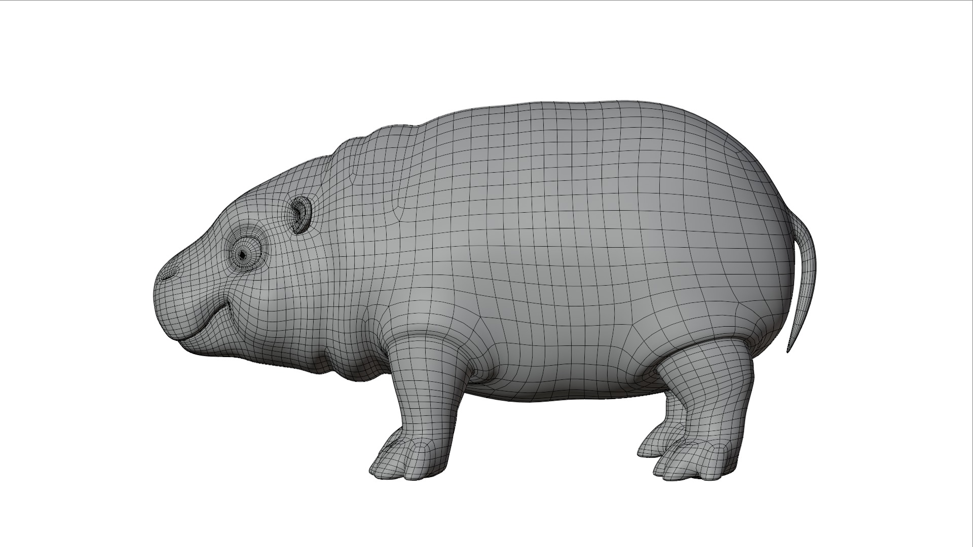 Baby Pygmy Hippopotamus Model Low-poly 3D model_13