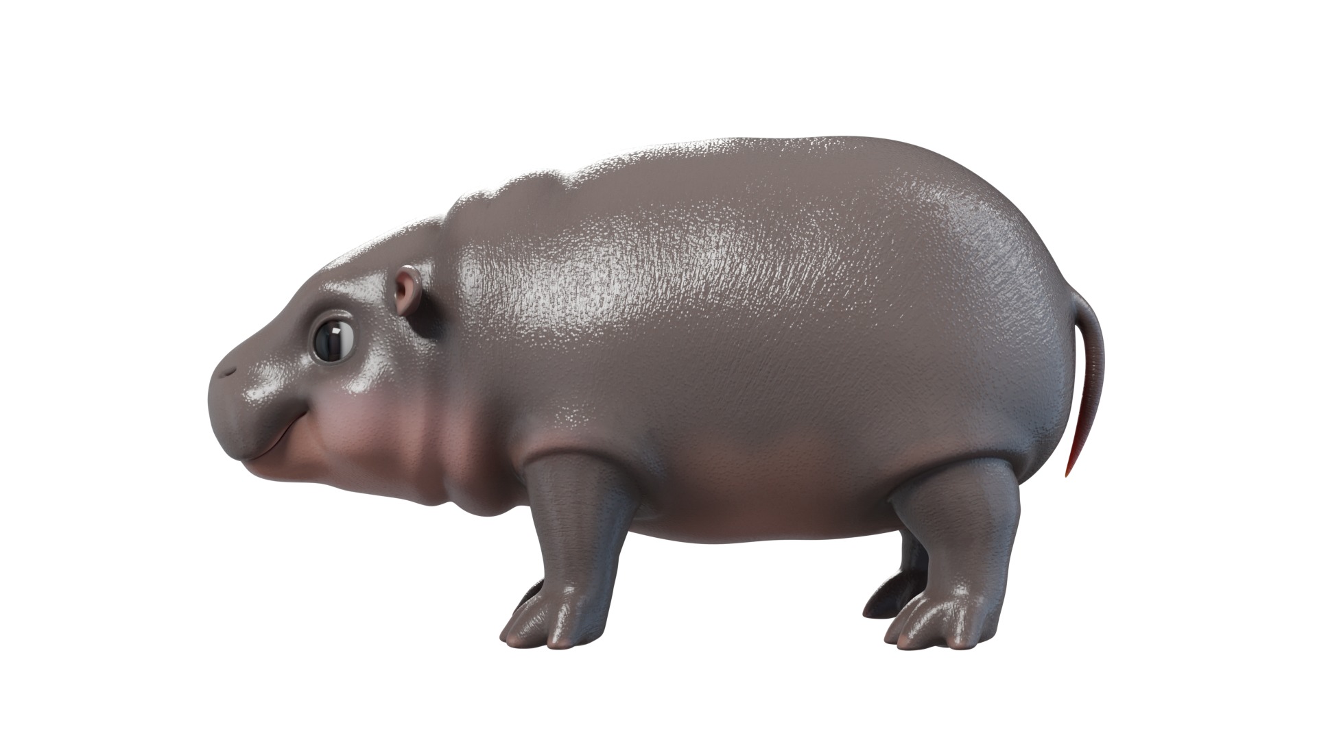 Baby Pygmy Hippopotamus Model Low-poly 3D model_3