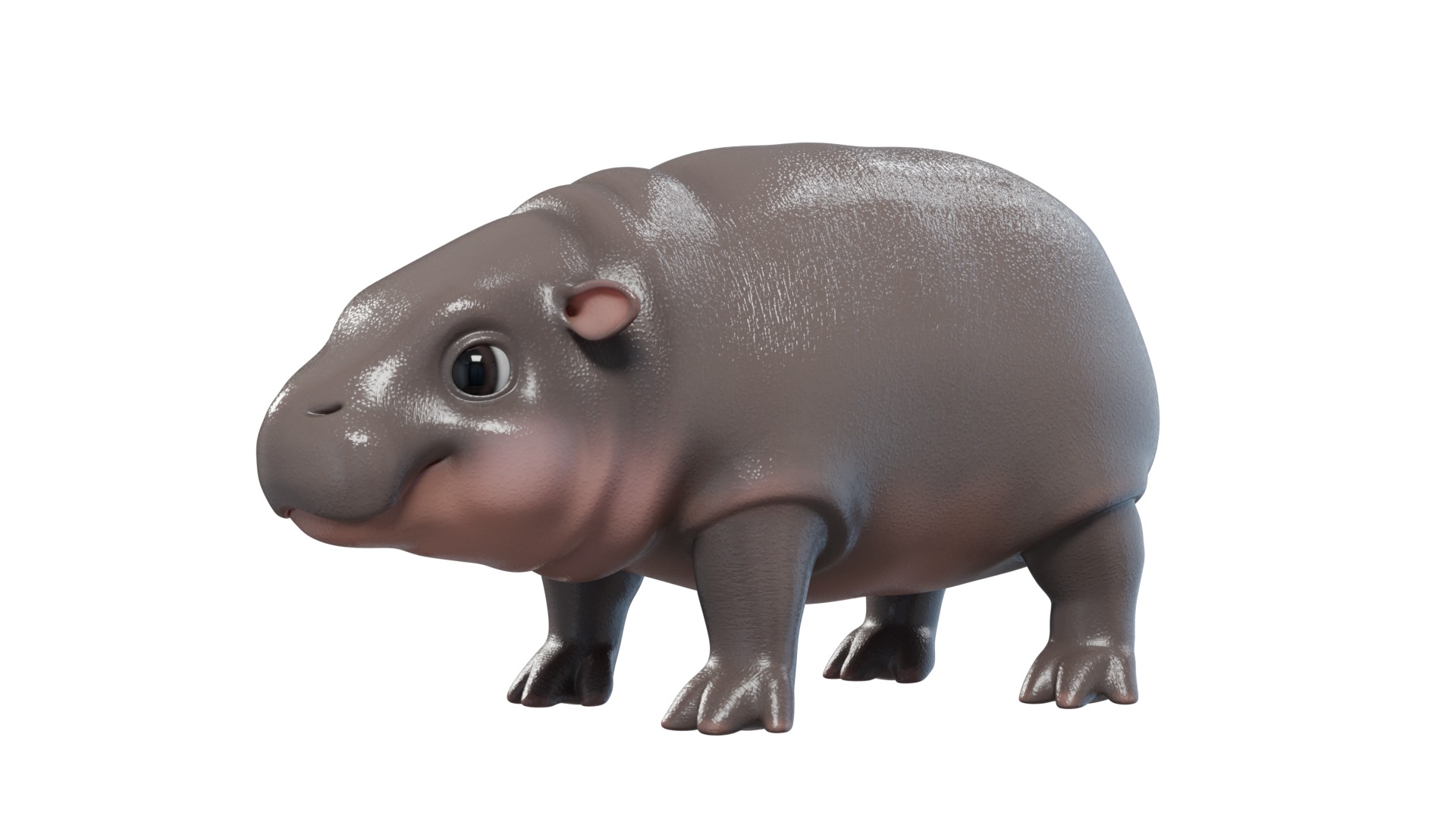 Baby Pygmy Hippopotamus Model Low-poly 3D model_1