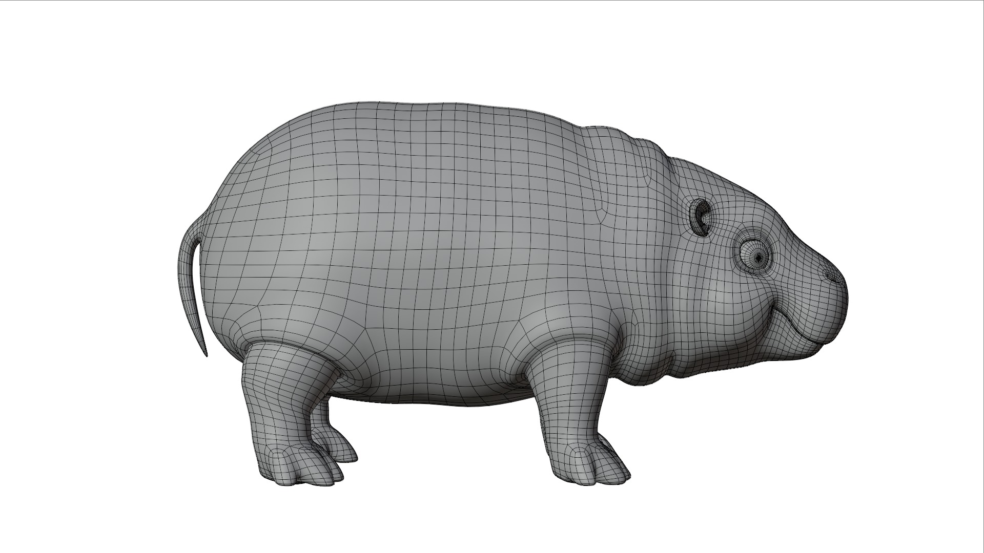 Baby Pygmy Hippopotamus Model Low-poly 3D model_15