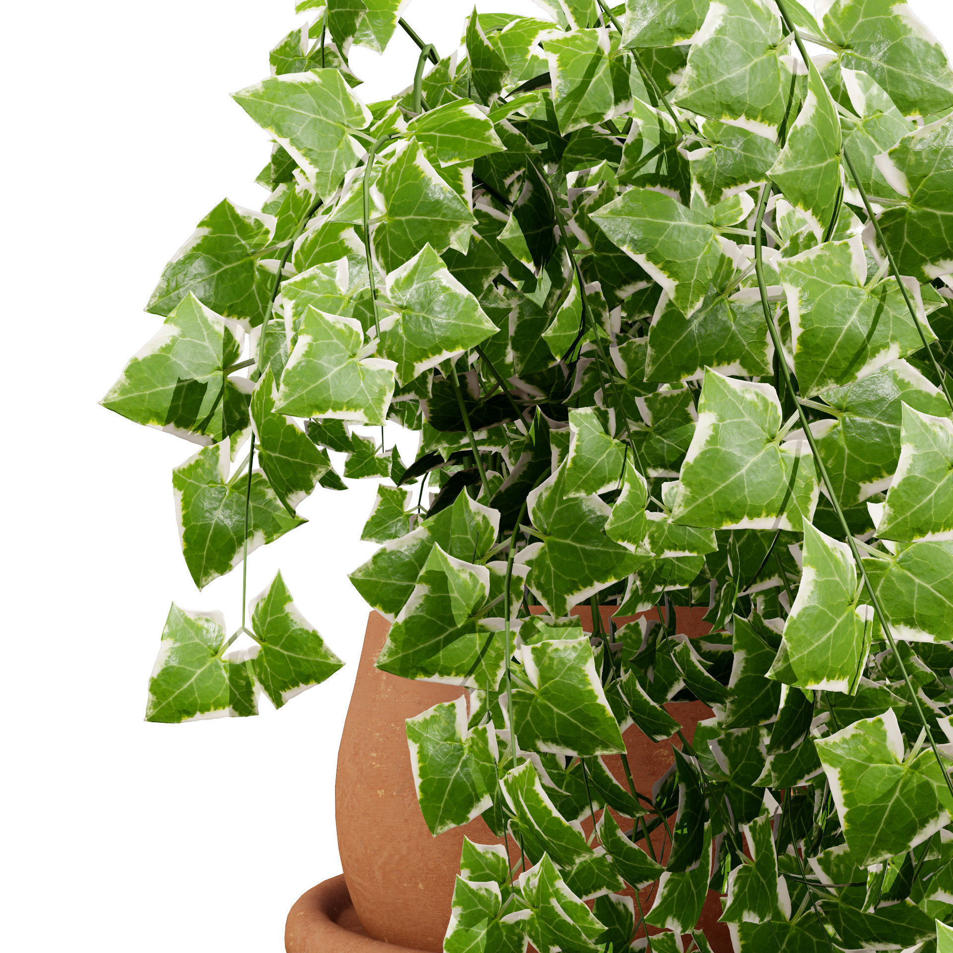 Golden Trio Plants Low-poly 3D model_2