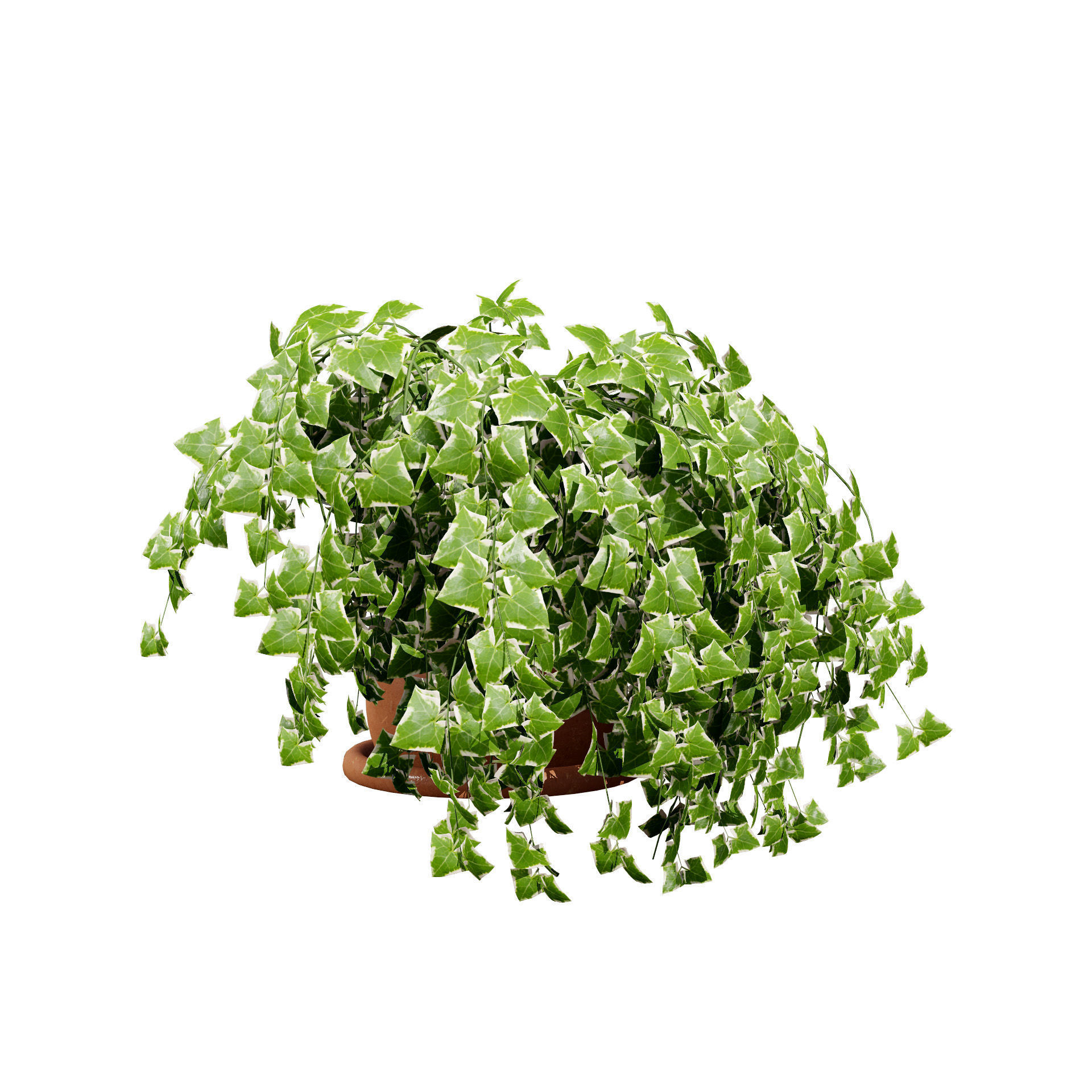 Golden Trio Plants Low-poly 3D model_8