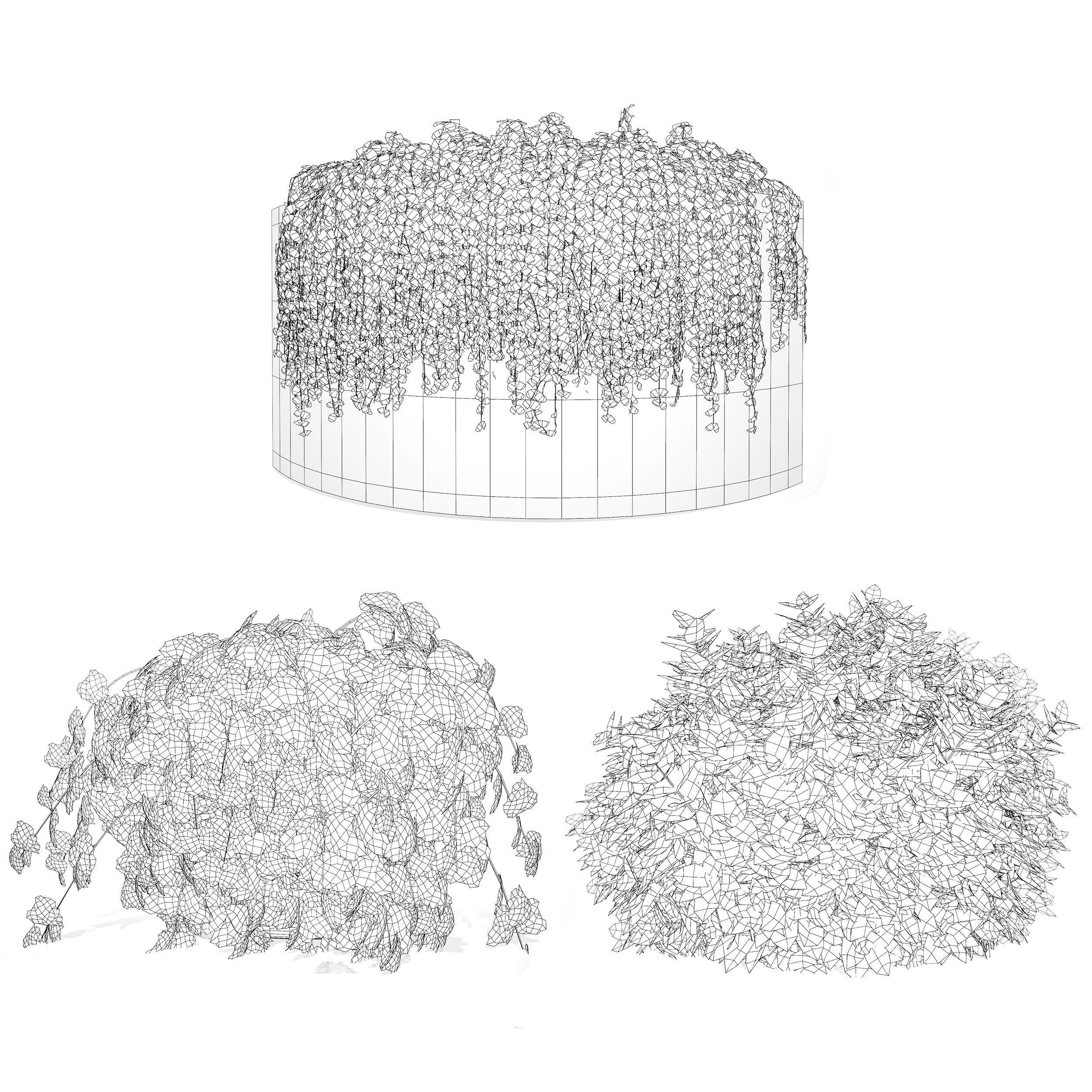 Golden Trio Plants Low-poly 3D model_9