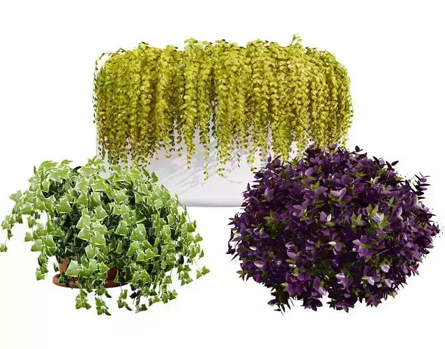 Golden Trio Plants Low-poly 3D model