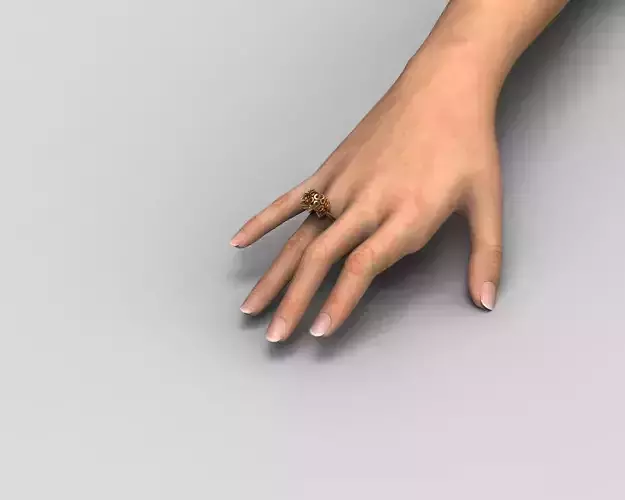 R 205 Fashion Ring  3D print model