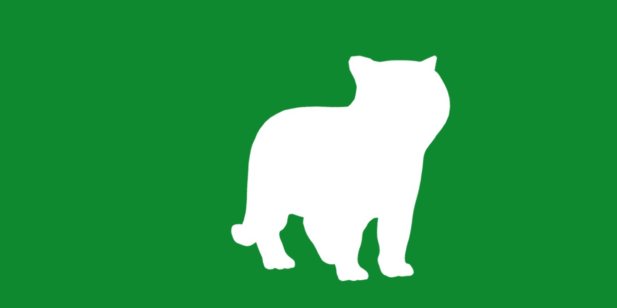 Exotic Shorthair Cat Low-poly 3D model_30