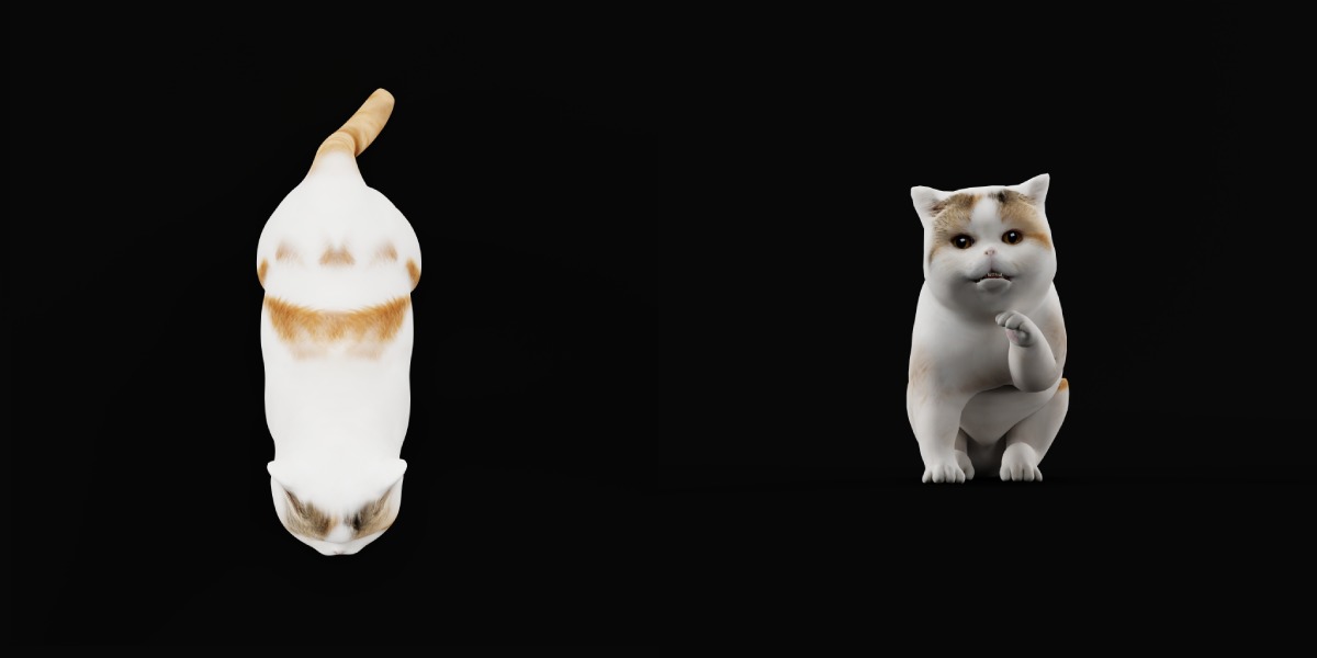 Exotic Shorthair Cat Low-poly 3D model_8
