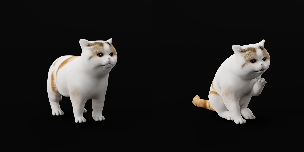 Exotic Shorthair Cat Low-poly 3D model_11