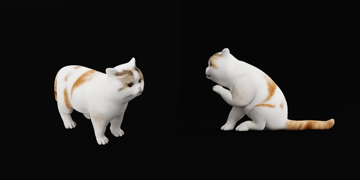 Exotic Shorthair Cat Low-poly 3D model_9