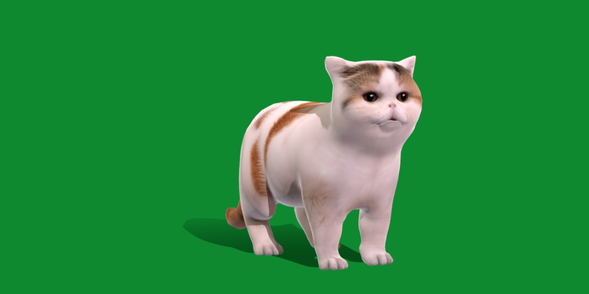 Exotic Shorthair Cat Low-poly 3D model_24
