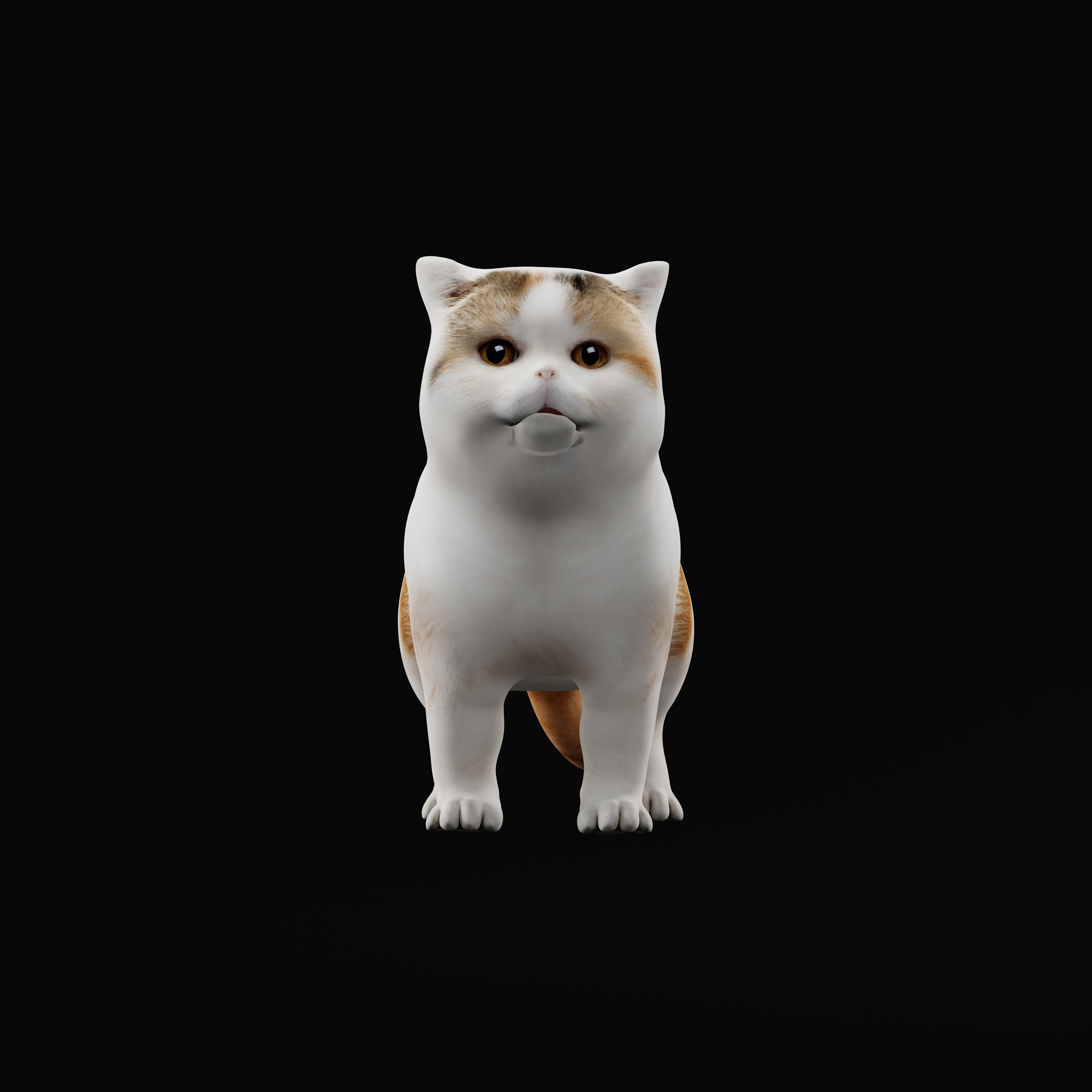 Exotic Shorthair Cat Low-poly 3D model_36