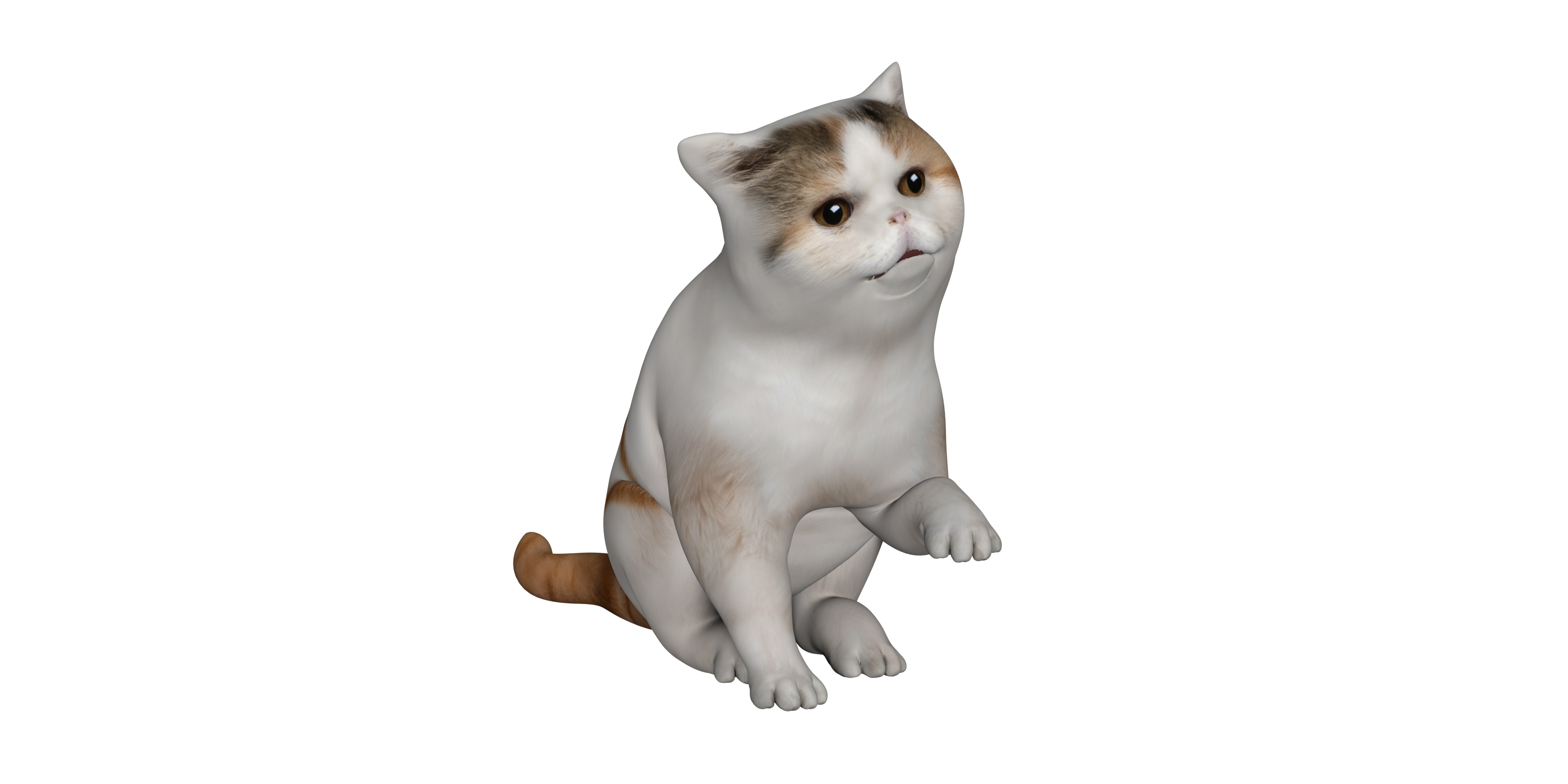 Exotic Shorthair Cat Low-poly 3D model_6
