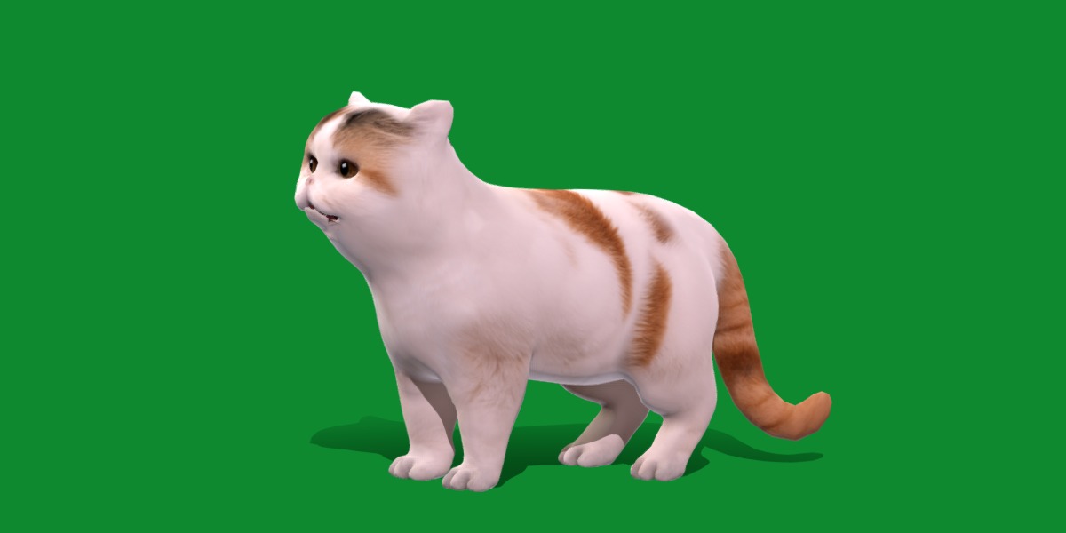 Exotic Shorthair Cat Low-poly 3D model_20