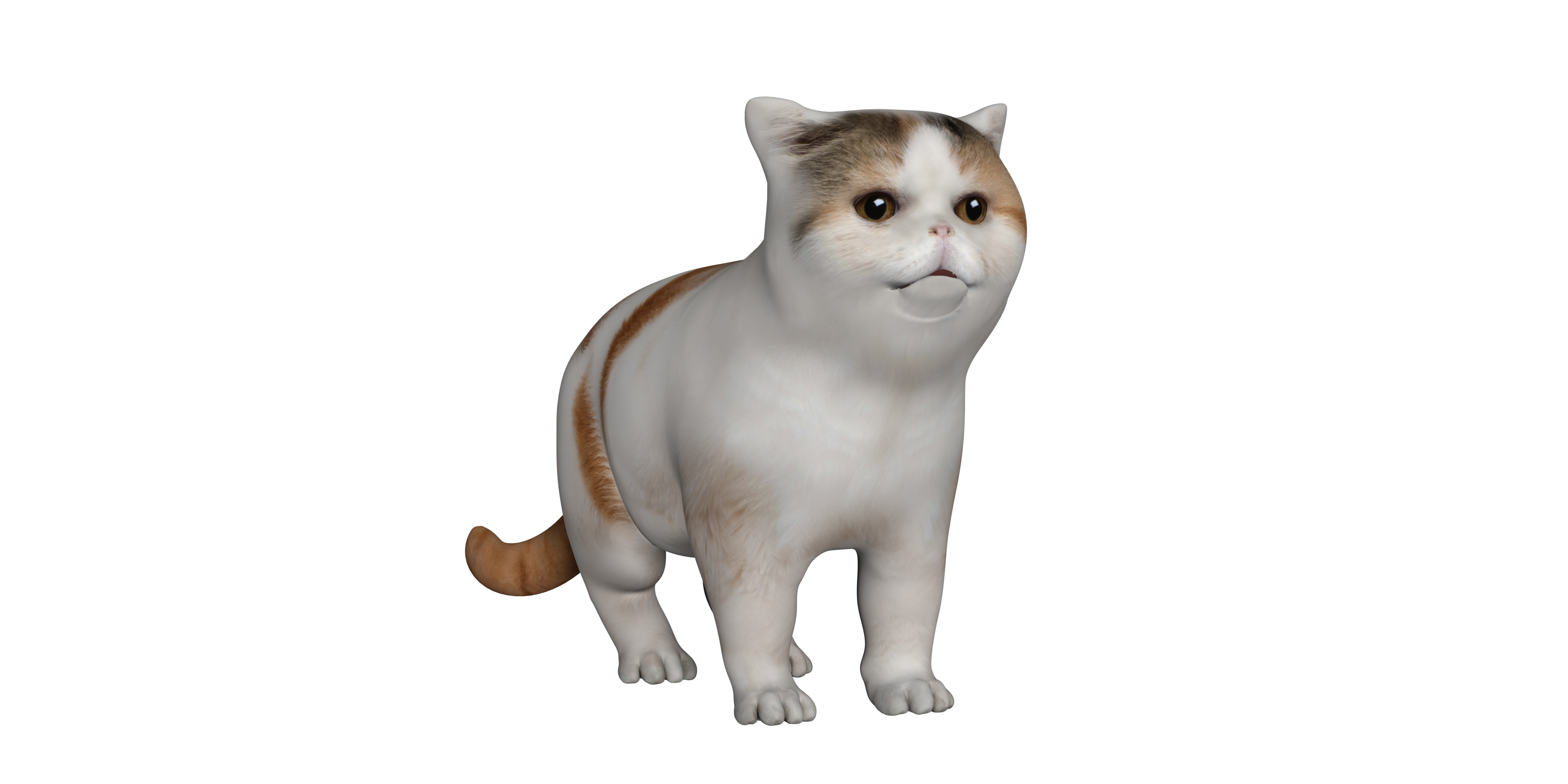 Exotic Shorthair Cat Low-poly 3D model_4