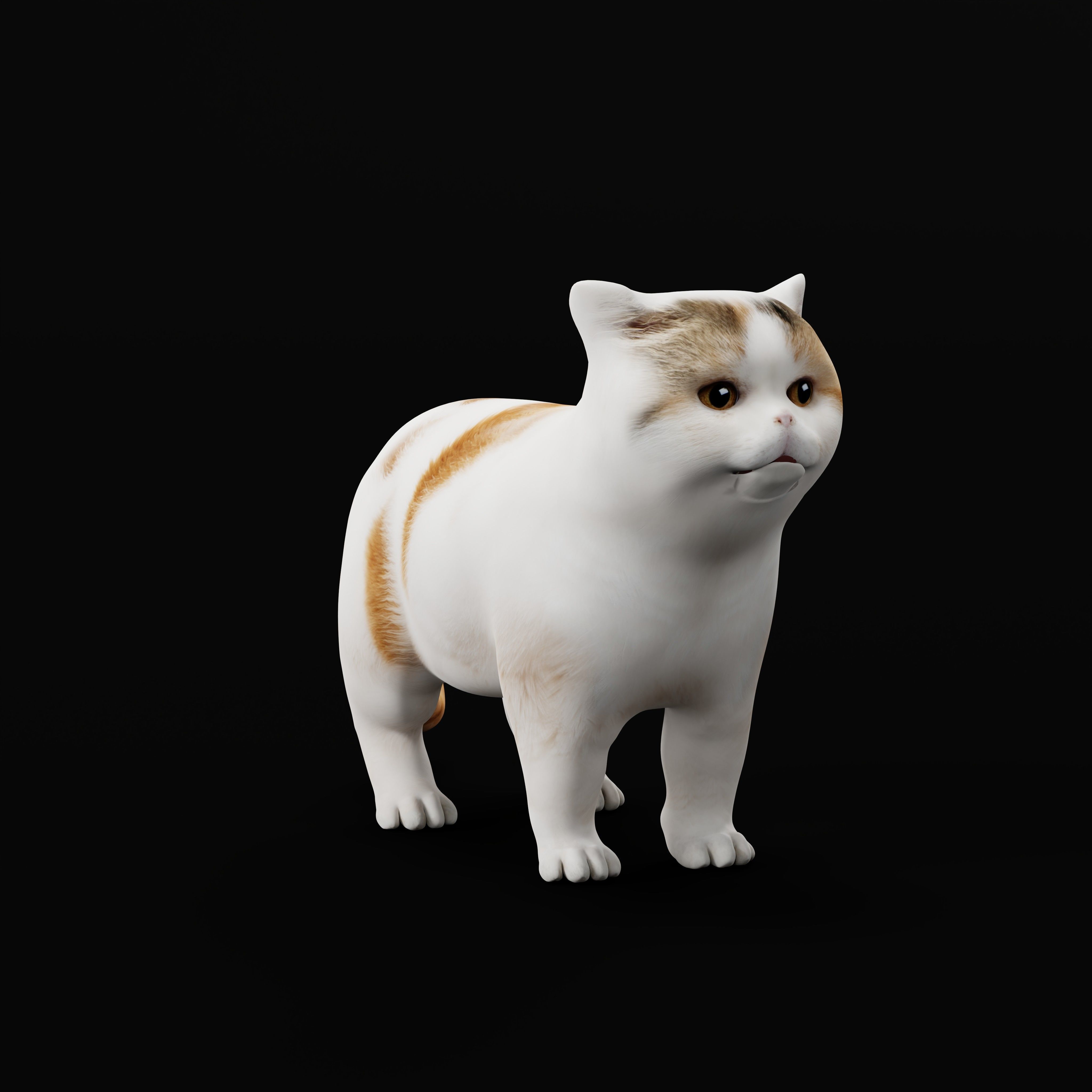 Exotic Shorthair Cat Low-poly 3D model_35
