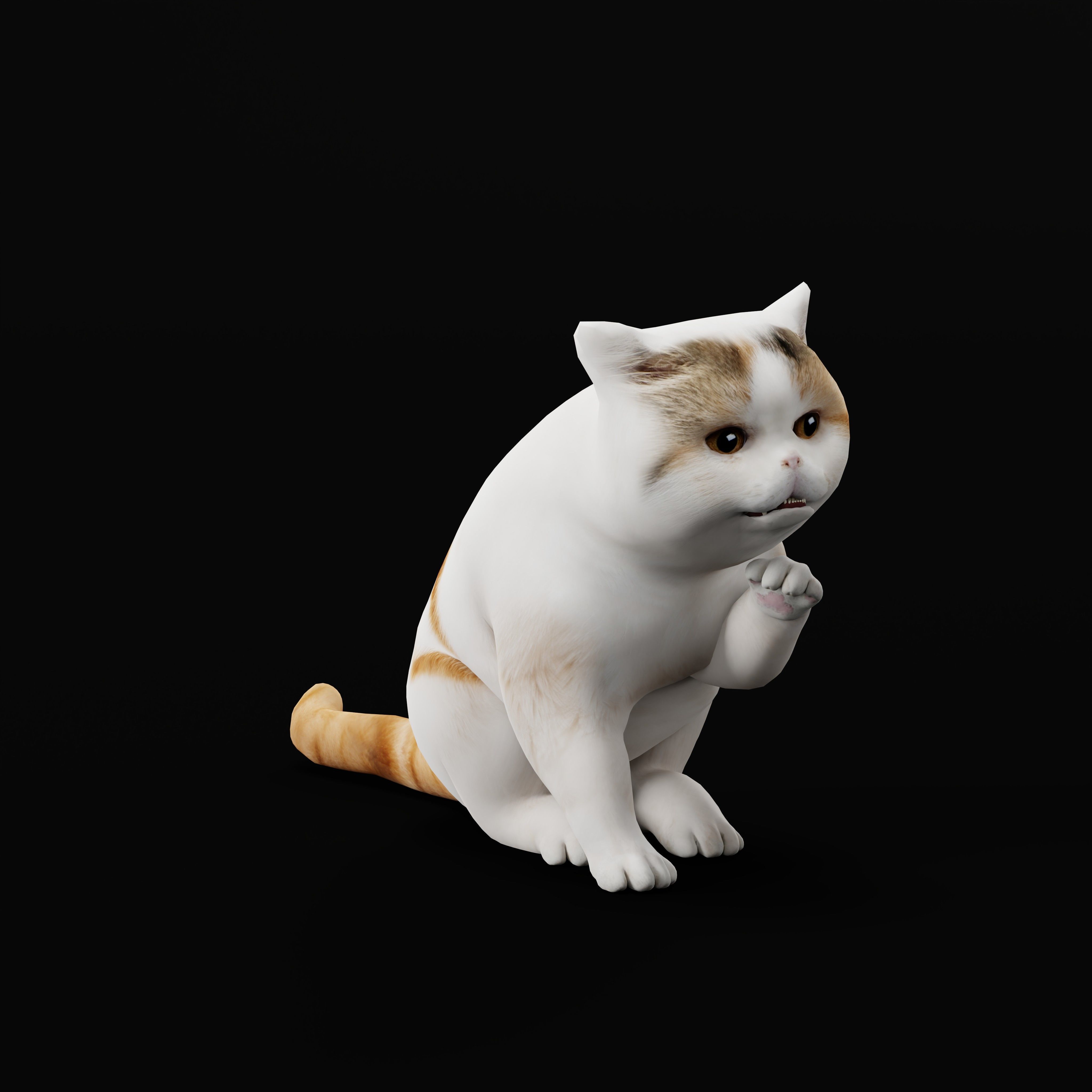 Exotic Shorthair Cat Low-poly 3D model_40