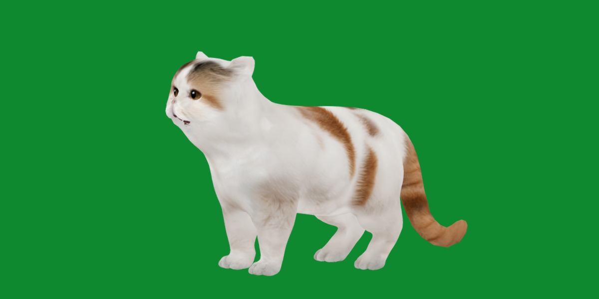 Exotic Shorthair Cat Low-poly 3D model_21