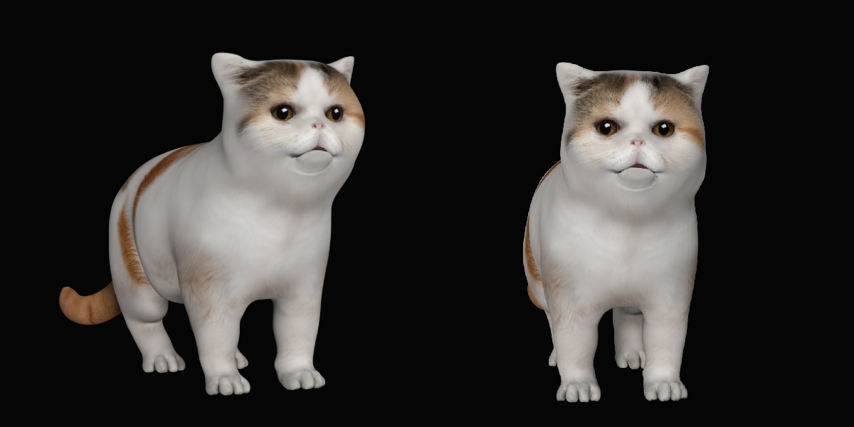 Exotic Shorthair Cat Low-poly 3D model_10