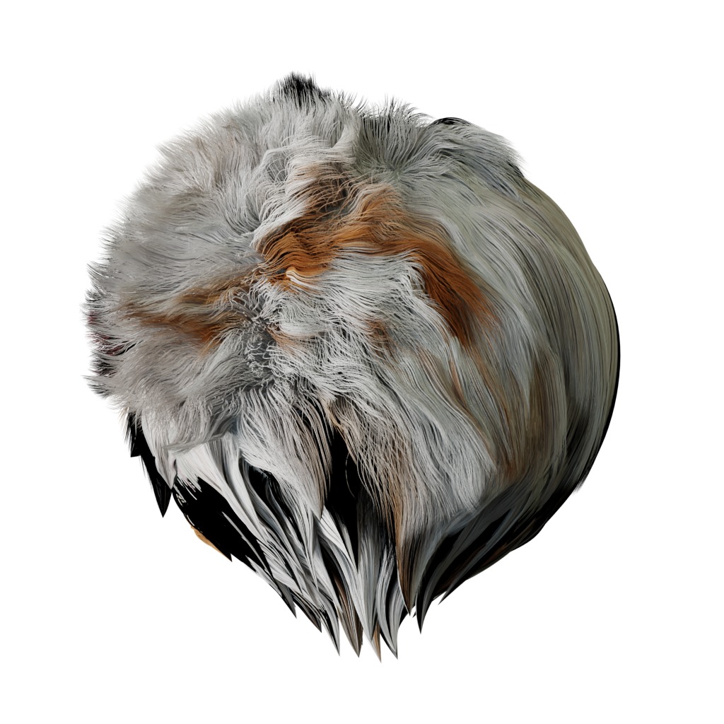 Exotic Shorthair Cat Low-poly 3D model_34