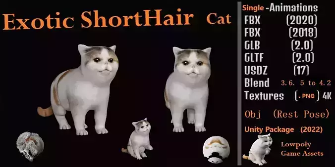 Exotic Shorthair Cat Low-poly 3D model