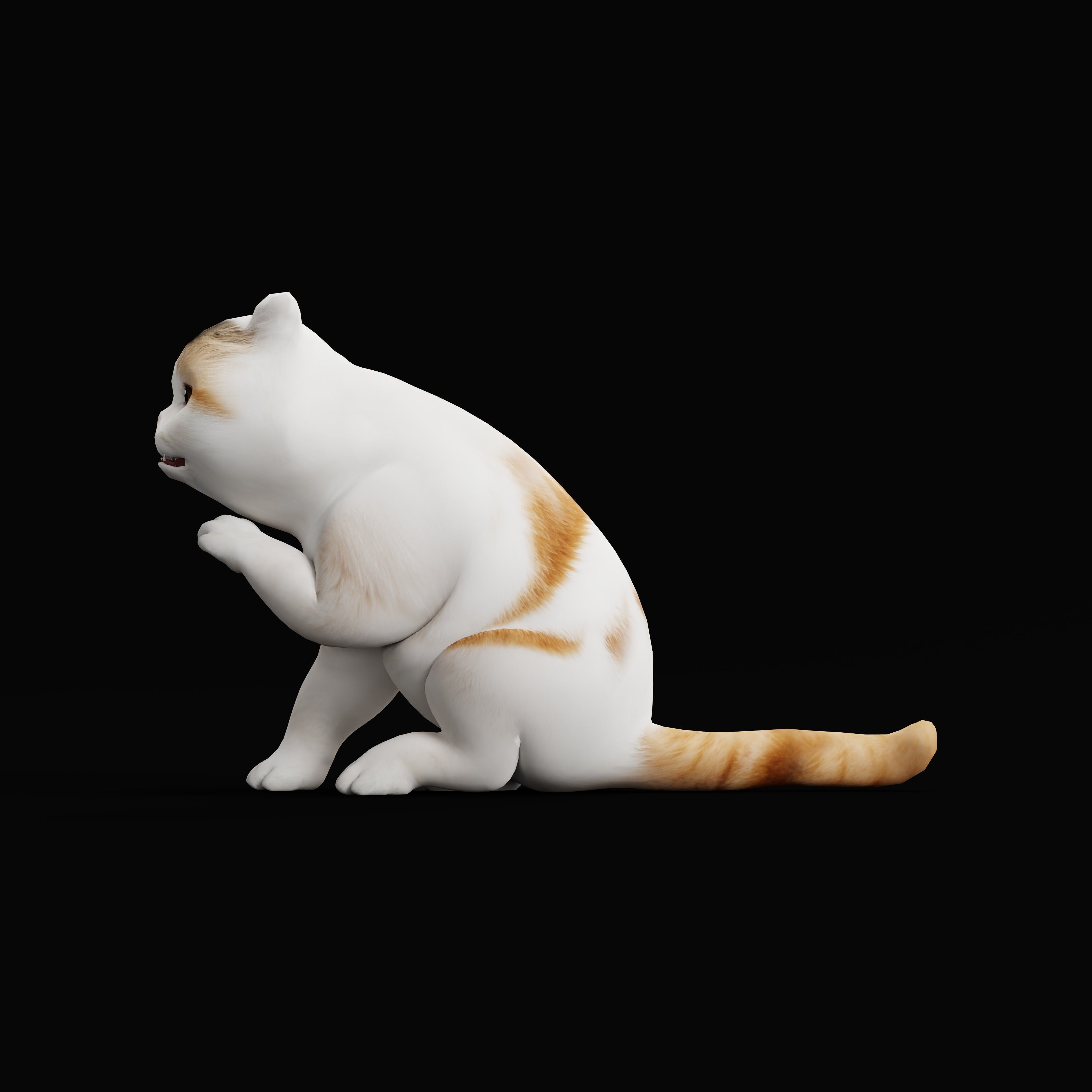 Exotic Shorthair Cat Low-poly 3D model_42