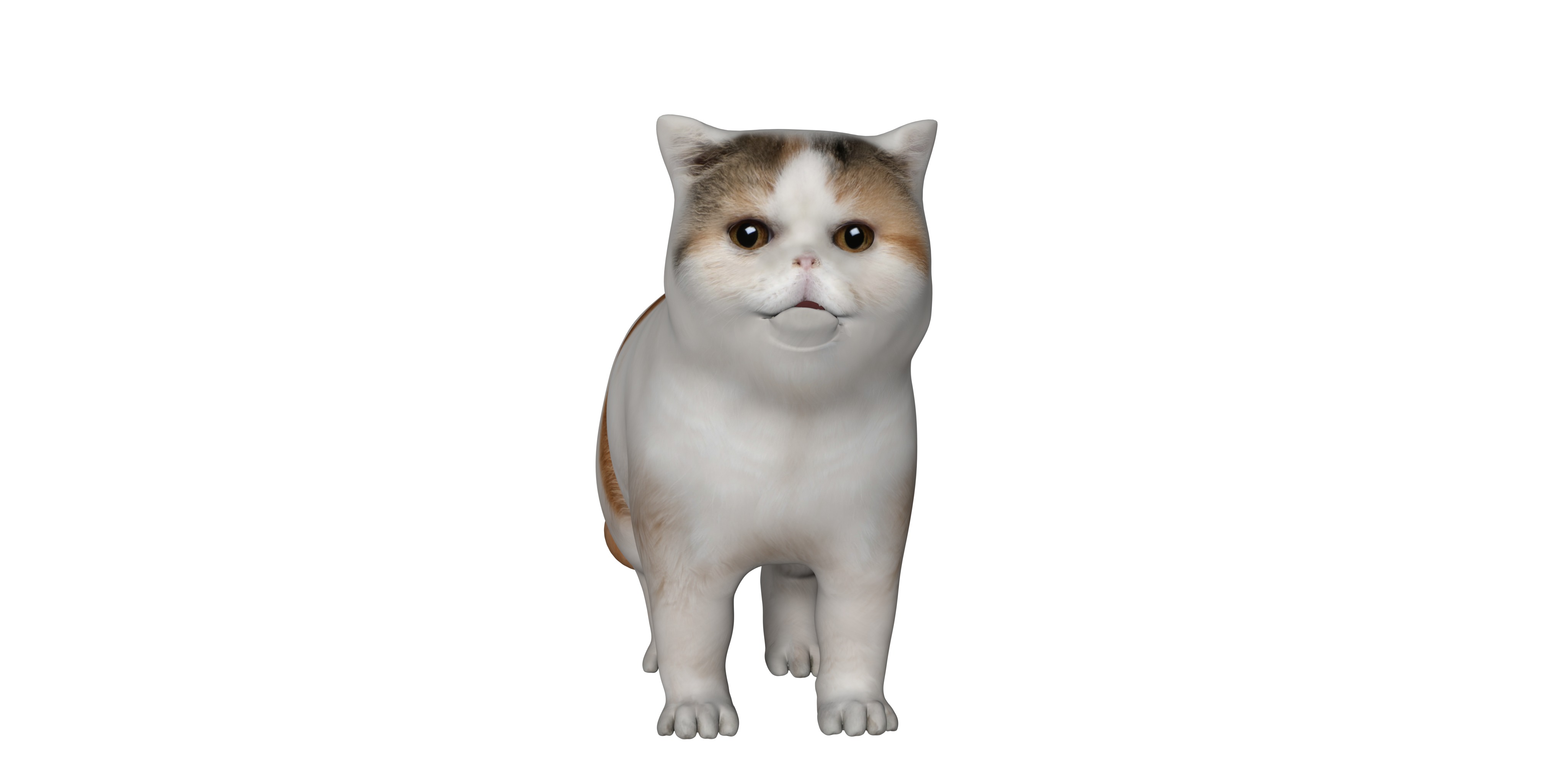 Exotic Shorthair Cat Low-poly 3D model_5