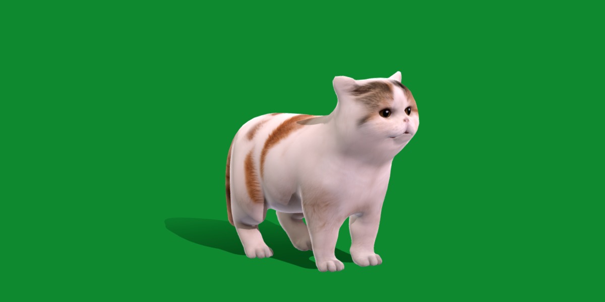 Exotic Shorthair Cat Low-poly 3D model_2