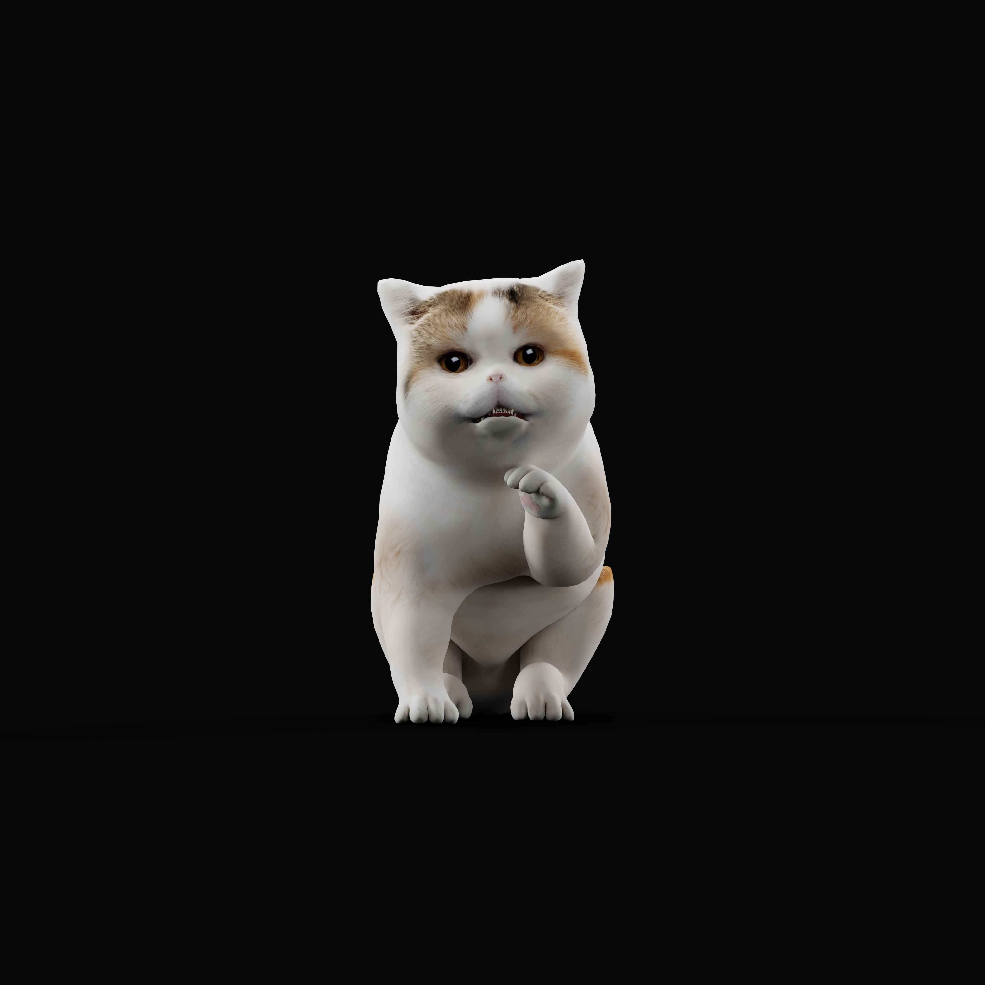 Exotic Shorthair Cat Low-poly 3D model_41