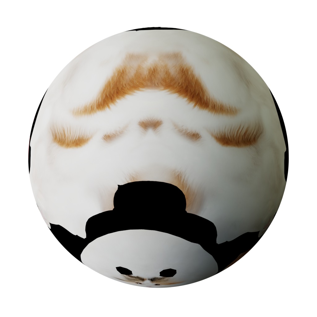 Exotic Shorthair Cat Low-poly 3D model_33